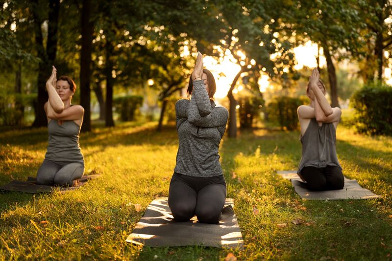 Group meditation in nature